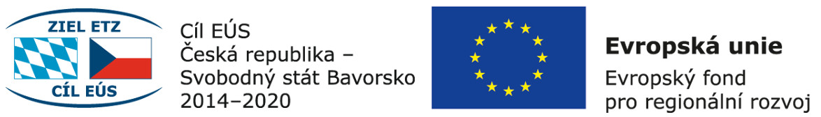 ETZ + EU logo