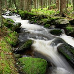 Šumava.