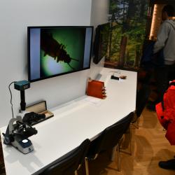 Jihočeské muzeum nabízí novou interaktivní expozici. Láká k návštěvě přírody, do života našich předků i k seznámení s lidovou kulturou.