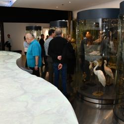 Jihočeské muzeum nabízí novou interaktivní expozici. Láká k návštěvě přírody, do života našich předků i k seznámení s lidovou kulturou.