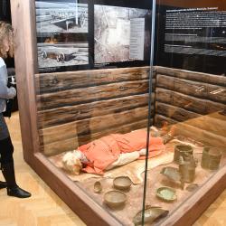 Jihočeské muzeum nabízí novou interaktivní expozici. Láká k návštěvě přírody, do života našich předků i k seznámení s lidovou kulturou.