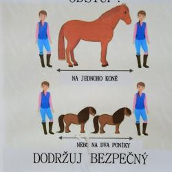 Obdivovat krásné koně mohli návštěvníci Zemského hřebčince v Písku. V sobotu 29. srpna se zde konal už druhý ročník Chovatelského dne.