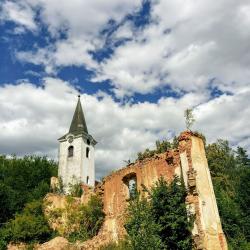 Krabonoš (foto Petra Schinková)