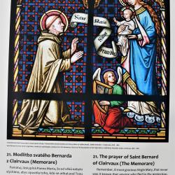Hybernia – Bohemia s podtitulem Irsko – Česko. To je název výstavy, která za účasti prvního náměstka hejtmana Františka Talíře a náměstka hejtmana pro kulturu Pavla Hrocha odstartovala v pondělí 4. dubna slavnostní vernisáží. 