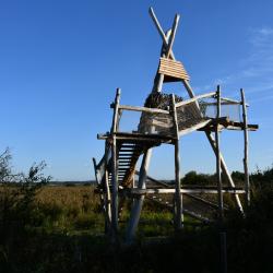 Na Vrbenských rybnících byla zprovozněna ptačí pozorovatelna. Zdarma a po celý rok.