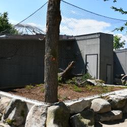 Zoologická zahrada Hluboká nad Vltavou otevírá novou expozici sov.