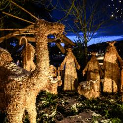 Advent patří v jižních Čechách mezi nejkrásnější období roku. Ulice i náměstí se rozsvěcují světýlky, vůně punče a perníčků láká do centra měst a sváteční atmosféra dýchá z každého koutu.