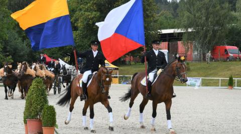 Obdivovat krásné koně mohli návštěvníci Zemského hřebčince v Písku. V sobotu 29. srpna se zde konal už druhý ročník Chovatelského dne.
