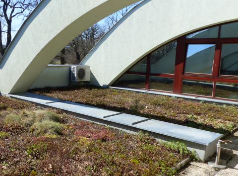 O přízeň poroty i veřejnosti usiluje například projekt zelených střech a přírodě blízkých trvalkových výsadeb v ZOO Hluboká.