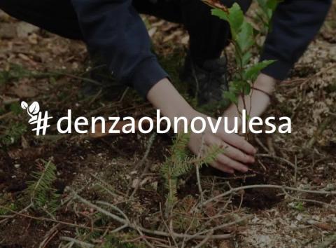 Den za obnovu lesa.