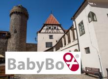 Ilustrační obrázek (Zdroj: Jihočeský kraj, logo Babybox)