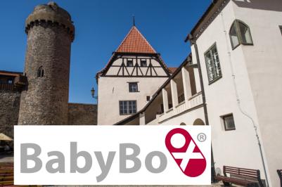 Ilustrační obrázek (Zdroj: Jihočeský kraj, logo Babybox)