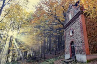Podzimní Šumava (Foto: Kateřina Přibylová)